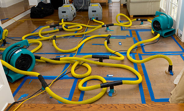 Professional Storm Water Damage Restoration technician working in Harmon, IL